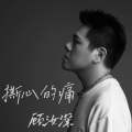 顾汝深 - 撕心的痛