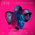 WATAWI (feat. Davido Focalistic & Abidoza)