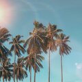 Raquii、Rissa - Summertime (Explicit)