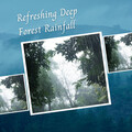 Rain Sounds Nature Collection、Calming Beats、Romantic Piano for Reading - Refreshing Deep Forest Rainfall - 1 Hour