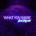 Jack Reynolds - What You Want