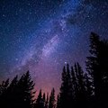 MAVN - Nebula
