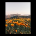 Sam Ock、belle delphine - Running Up That Hill