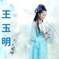王玉明，灯火阑珊电台 - 《惊鸿一舞》王玉明，学写，古美人