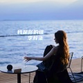 李梓柒 - 我是你的谁这一回 (DJ伤感女版)