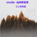 DJ汤姆喵 - studio (DJ版)