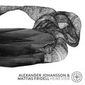 Alexander Johansson、Mattias Fridell - Strapats