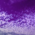 Dxz3、J-Hustle - Cloud II (feat. J-Hustle)