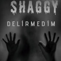 DELİRMEDİM (Explicit)