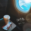 经济舱 (Vol.Flightin')