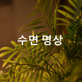 명상 음악、휴식과 명상을위한 음악、Meditation Relax Radio、ASMR SOUND - 그냥 수