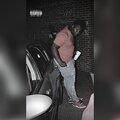 BrickSolid Gee - Must Shoot