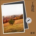 袁军 - 丁香花
