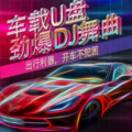 宇冰 - 要走的人+晚风作酒 (DJ环绕版)