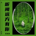 陈海涛 - 听闻远方有你 (remix: 刘艺雯)