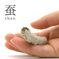 Than - 十戒