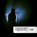 余晓清 - 不是我不努力