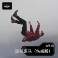 仝宾超 - 斑马斑马