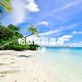 沈波 - 恰似你的温柔 (钢琴版)