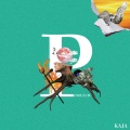 Kaja - AINI