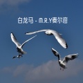 M.R.Y麦尔彦 - 白龙马 (DJ版)