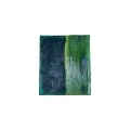 COLORTHEGUYZ - ALOE