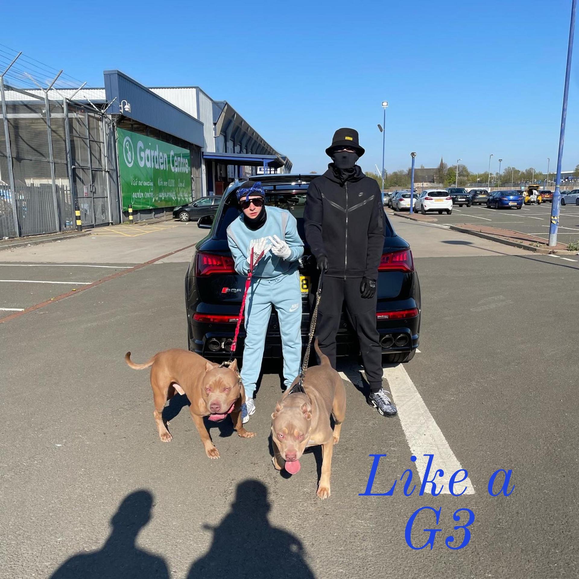 Fudge - Like a G3 (feat. El)
