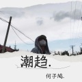 何子鸠. - 保安日记
