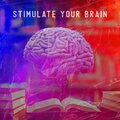 Stimulate Your Brain: Systematic and Effective Learning, Reduce Stress, Positive Mindset