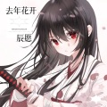 挽辰 - 去年花开