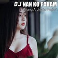 Anang Ardinata Project - Dj Nan Ko Paham