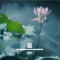 墨雪 - 茁