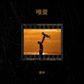 嘉禾 - 唯爱