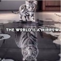 Juanita - The world is a mirrow