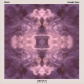 Massari - Perception Theory