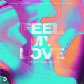 Feel My Love (feat. Joe Taylor)(Festival Mix)