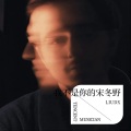 LIUDX - 我不是你的宋冬野