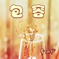曹本军 - 包容