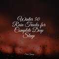 Winter 50 Rain Tracks for Complete Deep Sleep