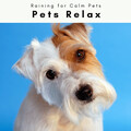 Raining for Calm Pets - Rain Drops Tunes for Deep Dog Dreams