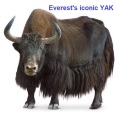 Josep Aznar - Everest's Iconic YAK (Edición Deluxe)