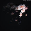 The Vibe - Know Better