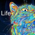Crazy Wrld - One Day
