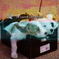 Musica para Dormir Dream House - 特别休息
