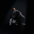 Icarus (Explicit)