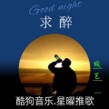 竣艺 - 求醉