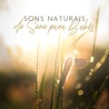 Música Mágica para Bebês de Sono - Sono Profundamente