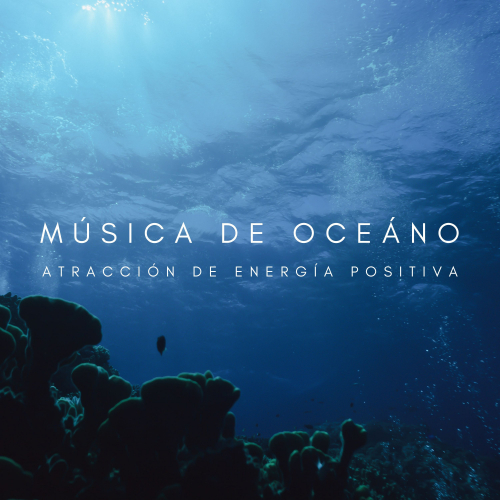 Relajacion Del Mar、Agua del Mar、Naturaleza FX - Atracción Certera
