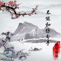 铁木冰冰 - 不能和你分手