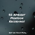 50 Ambient Monsoon Recordings